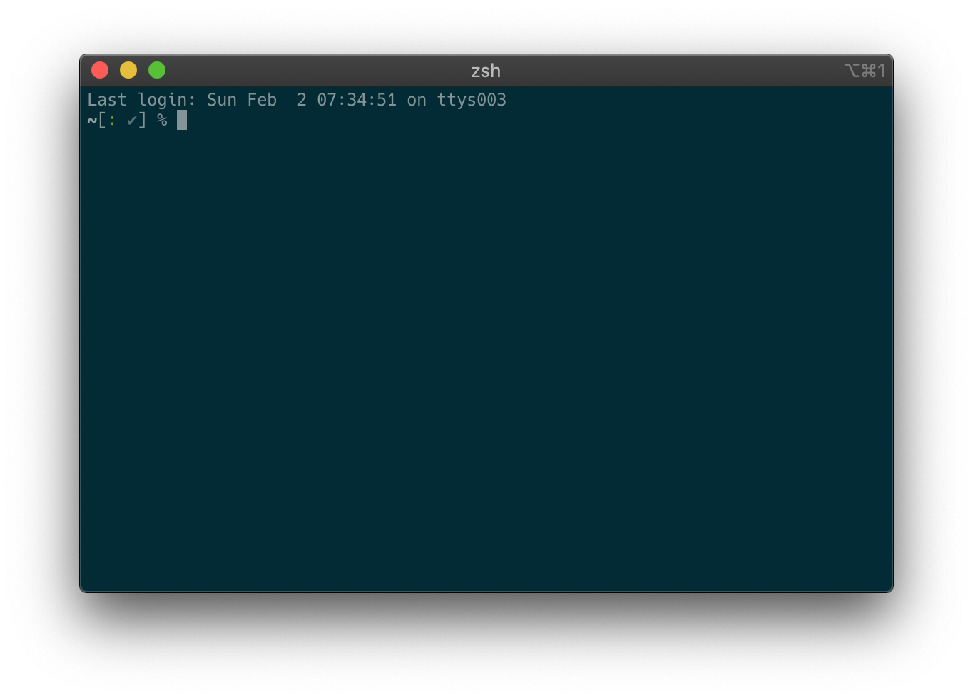 Screenshot of the iTerm terminal emulator with zsh prompt