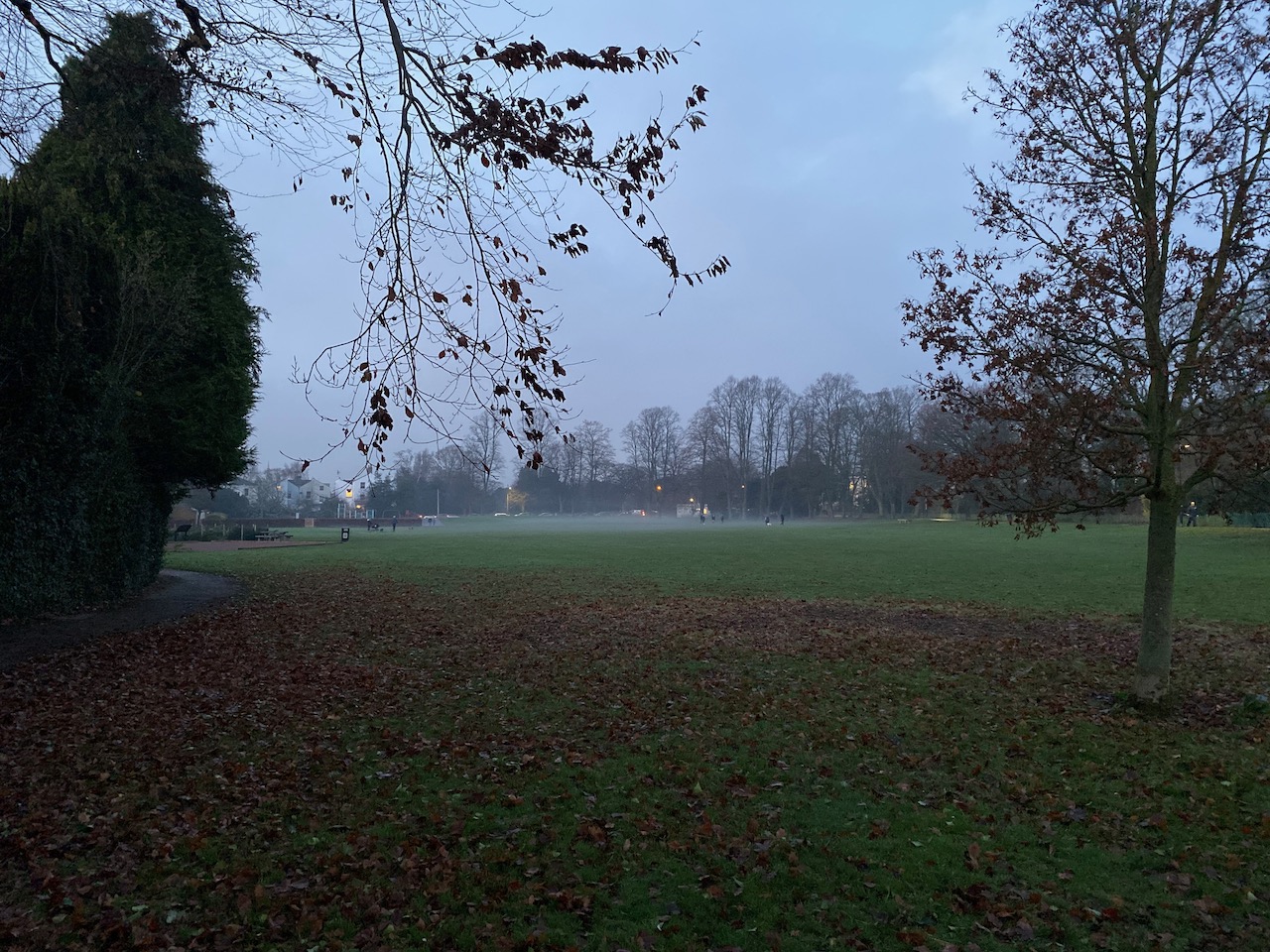 Sandford Park with low lying fog